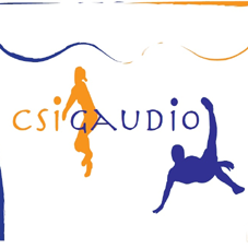 CSIGAUDIO