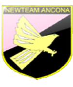 NEWTEAM ANCONA