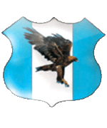 AMICI RUMENI
