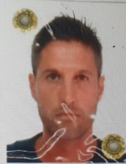 NIKO MICHELINI