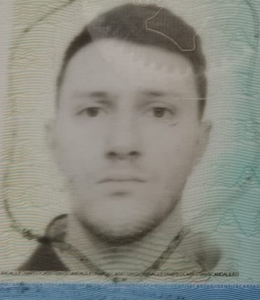LEONARDO SCANDALI