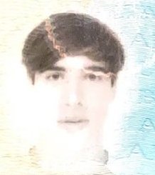 MATTIA BALLORINI