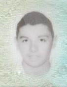 ANDREA ROSINI