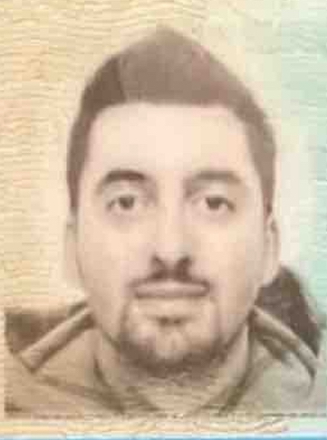 MICHELANGELO CERQUIGLINI