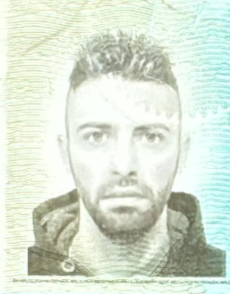 LUIGI DI CARLO