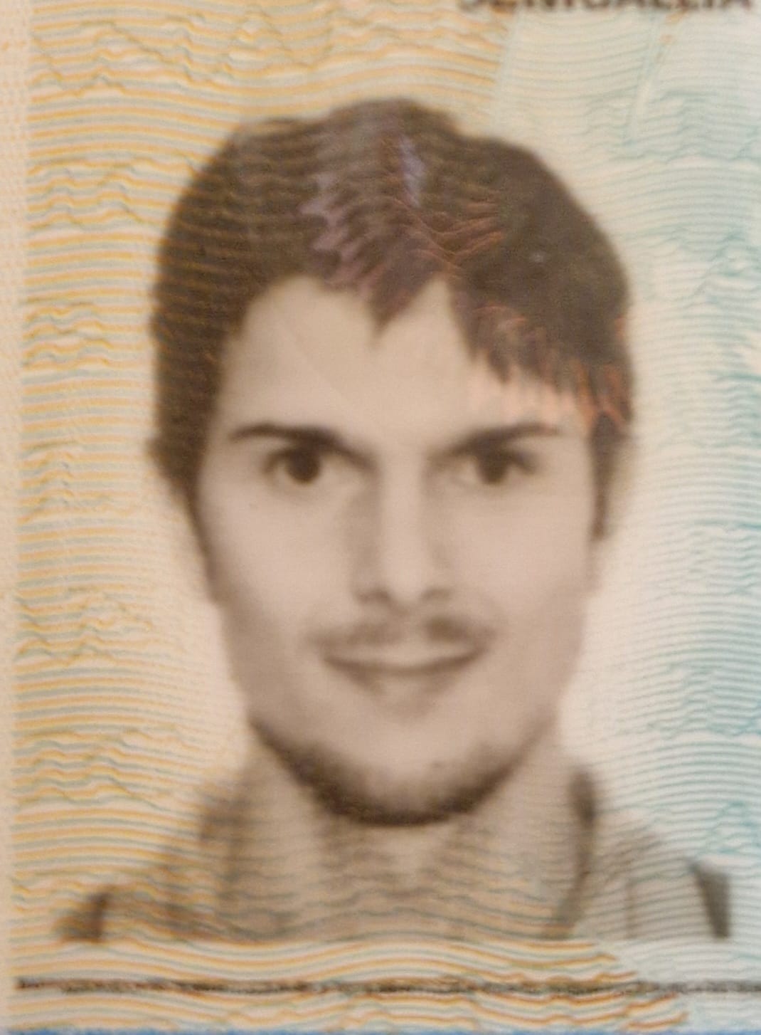 DAVID BARTOZZI