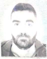 NICOLO' PIGNOCCHI