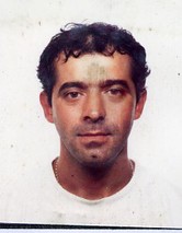 MIRCO GATTO