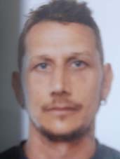 DAVID BATTISTONI