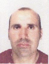 MAURO VIOLINI