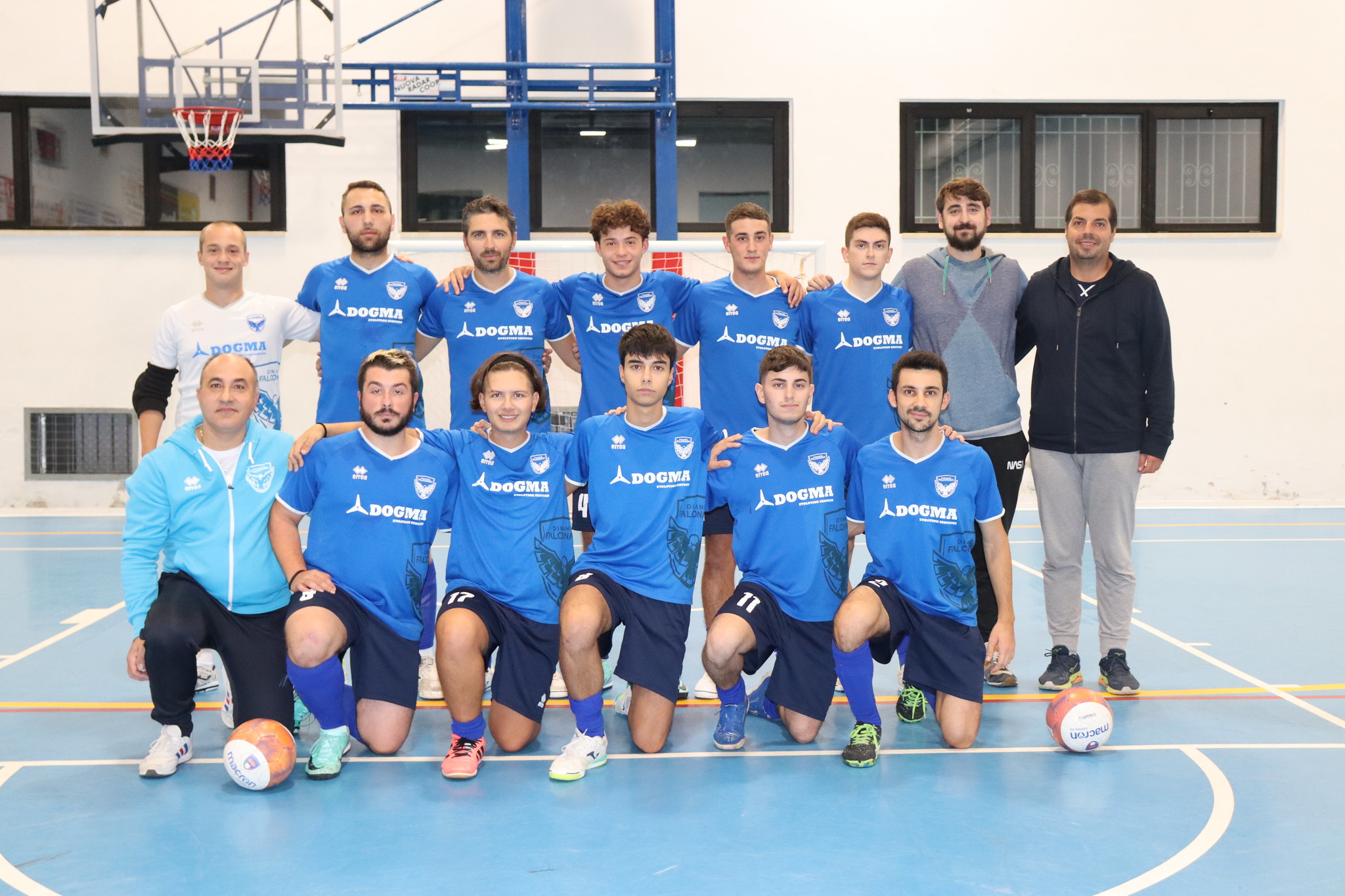DINAMIS FALCONARA
